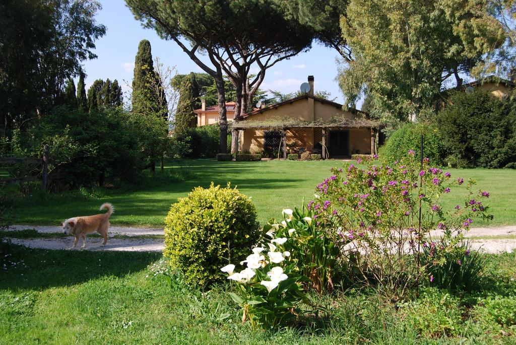 Casa Vacanze Vigna Di Valle Bracciano  Room photo