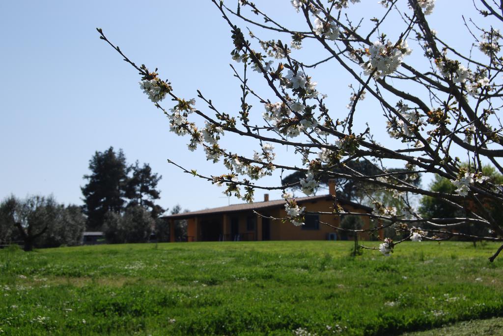 Casa Vacanze Vigna Di Valle Bracciano  Room photo