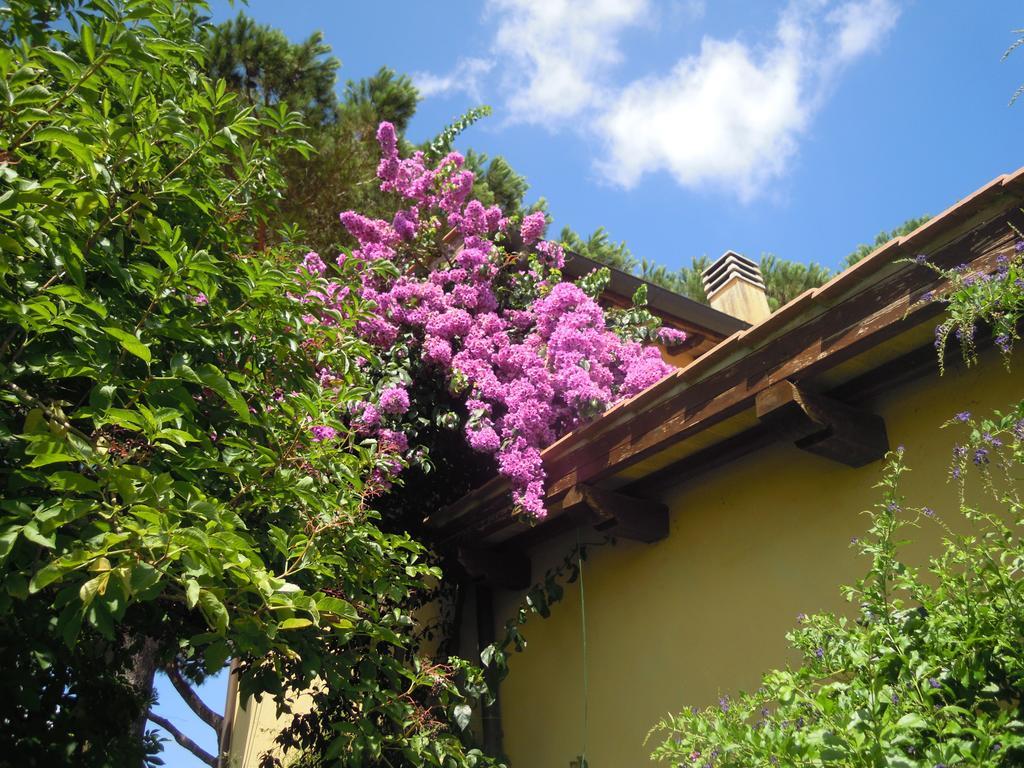 Casa Vacanze Vigna Di Valle Bracciano  Room photo