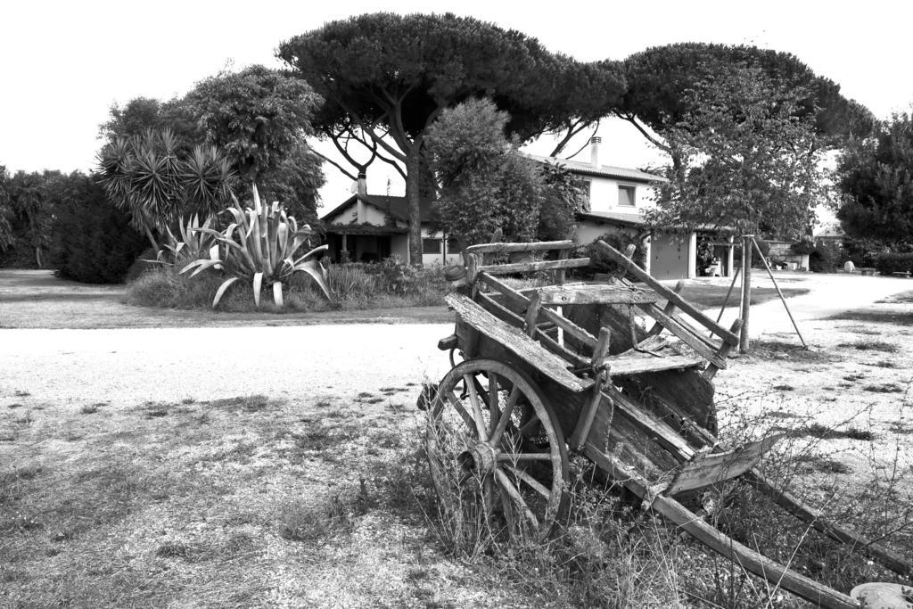 Casa Vacanze Vigna Di Valle Bracciano  Exterior photo